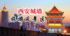 95干骚com中国陕西-西安城墙旅游风景区